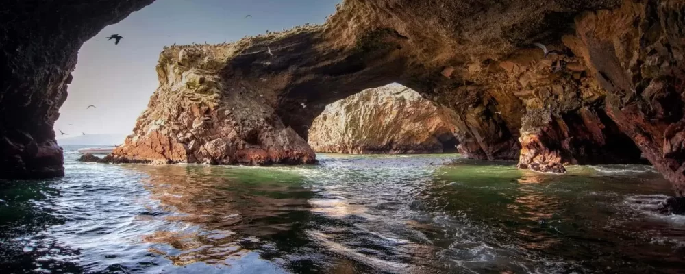 islas-ballestas-paracas-1920x1080